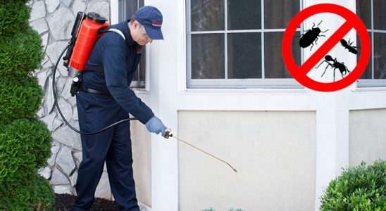 İskilip Dezenfeksiyon böcek ilaçlama ve haşere kontrolü — ilaclama-tr.com